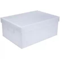 CAIXA ORGANIZADORA THE BEST BOX EXG 200X335X485MM PLUS C/PGA 023117 CRISTAL POLIBRAS UND