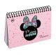 AGENDA EXEC. PLANNER PERMANENTE 96FLS MINNIE MOUSE 3064 CORES DAC