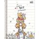 CADERNO 10X1 160FLS CD POOH 30829 TILIBRA