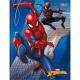 CADERNO BROCHURAO 80FLS CD SPIDER MAN 30894 TILIBRA