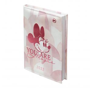 AGENDA MINNIE A6 2022 DAC 