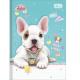 CADERNO BROCHURAO C/D 80 FLS JOLIE PET 29292 TILIBRA UND