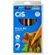 LAPIS DE COR PLASTIC SEXTAVADO 12 BIG C/ APONTADOR CORES CIS UND