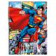 CADERNO BROCHURAO 80FLS CD SUPERMAN 223038 SAO DOMINGOS UND