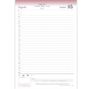 AGENDA COST. SUCESS UP 14X20 SAO DOMINGOS UND