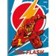 CADERNO BROCHURAO 80FLS CD THE FLASH 223047 SAO DOMINGOS UND