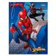 CADERNO BROCHURAO C/D 48 FLS SPIDER MAN 14397 TILIBRA UND