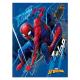 CADERNO BROCHURAO C/D 48 FLS SPIDER MAN 14397 TILIBRA UND