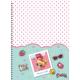 CADERNO UNIV. C/D 1X1 80 FLS DEBBY 233095 SAO DOMINGOS UND