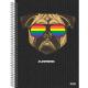 CADERNO UNIV. C/D 1X1 80 FLS LOVE WINS 233265 SAO DOMINGOS UND