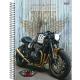 CADERNO UNIV. C/D 1X1 80 FLS MOTOS 233084 SAO DOMINGOS UND