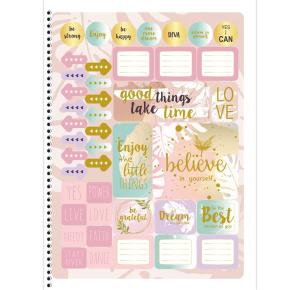 CADERNO UNIV. C/D 1X1 80 FLS MULHER 233067 SAO DOMINGOS UND