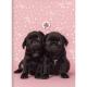 CADERNO BROCHURAO C/D 80 FLS MY PETS 223041 SAO DOMINGOS UND