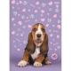 CADERNO BROCHURAO C/D 80 FLS MY PETS 223041 SAO DOMINGOS UND