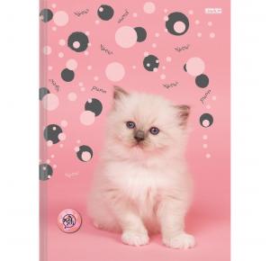 CADERNO BROCHURAO C/D 80 FLS MY PETS 223041 SAO DOMINGOS UND