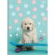 CADERNO BROCHURAO C/D 80 FLS MY PETS 223041 SAO DOMINGOS UND