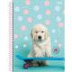 CADERNO UNIV. C/D 10X1 160 FLS MY PETS 233082 SAO DOMINGOS UND