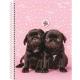 CADERNO UNIV. C/D 1X1 80 FLS MY PETS 233081 SAO DOMINGOS UND